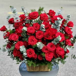 Hoa Tươi Tặng Sinh Nhật - OA146